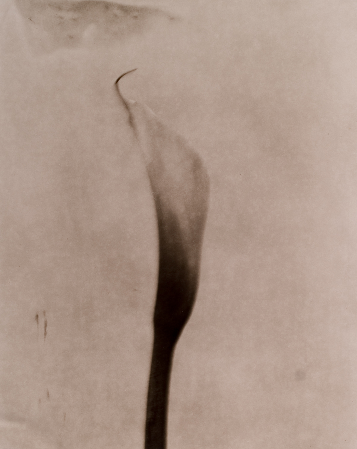 z cyklu bez tytułu, nr neg. 258/1